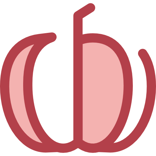 Pumpkin icon