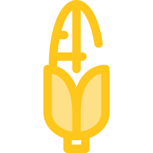 Corncob icon