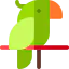 Parrot icon 64x64