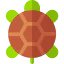 Turtle icône 64x64