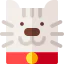 Cat icon 64x64