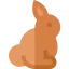 Rabbit icon 64x64