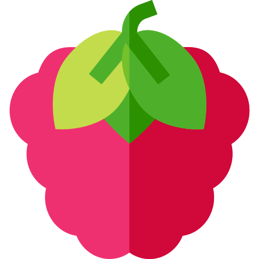 Raspberry icon