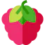 Raspberry 상 64x64