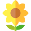 Sunflower アイコン 64x64