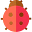 Ladybug 图标 64x64