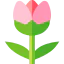 Tulip Symbol 64x64