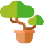 Bonsai іконка 64x64