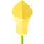 Lily icon 64x64
