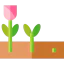 Flower icon 64x64