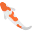 Carp icon 64x64