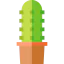 Cactus icon 64x64