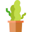 Plant icon 64x64