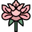 Peony icon 64x64