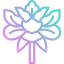 Peony icon 64x64