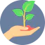 Sprout icon 64x64