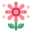 Flower icon 64x64