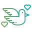 Dove icon 64x64