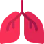 Lung ícono 64x64