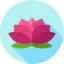 Lotus icon 64x64