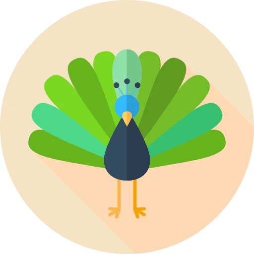 Turkey icon
