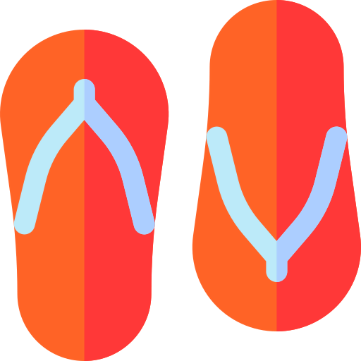 Flip flops icon