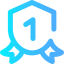 Shield icon 64x64