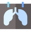 X ray Symbol 64x64