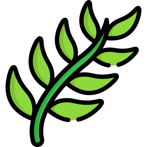 Branch icon