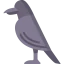 Crow icon 64x64