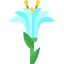 Lilium icon 64x64