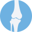 Bones icon 64x64