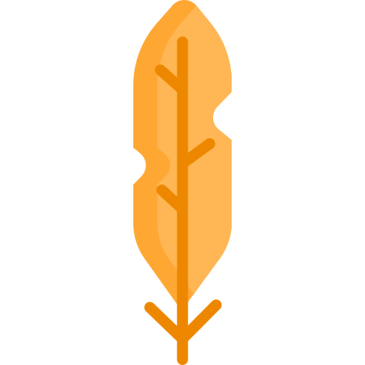 Feather icon