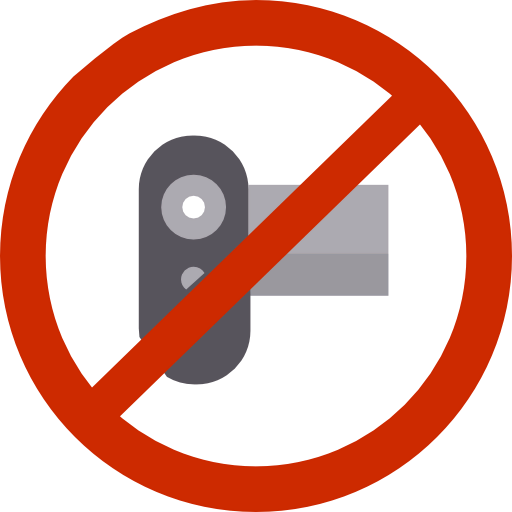 Record icon