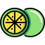 Lime icon 64x64