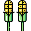 Corn icon 64x64