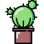 Cactus icon 64x64