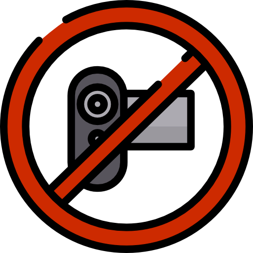 Record icon