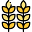 Wheat icon 64x64