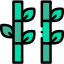 Bamboo icon 64x64