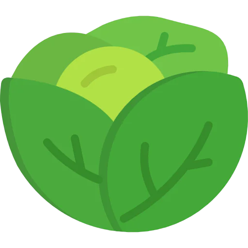Lettuce icon