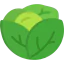 Lettuce icon 64x64