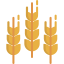 Wheat icon 64x64