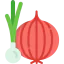 Onion icon 64x64