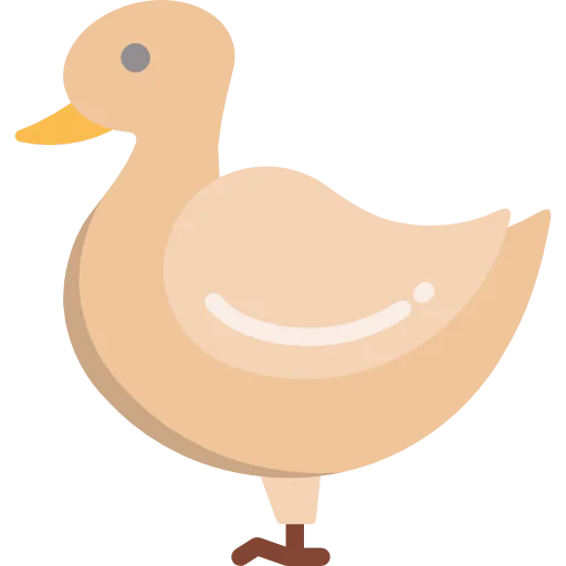 Duck icon