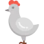 Hen icône 64x64