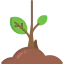 Sprout icon 64x64