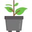 Plant icon 64x64