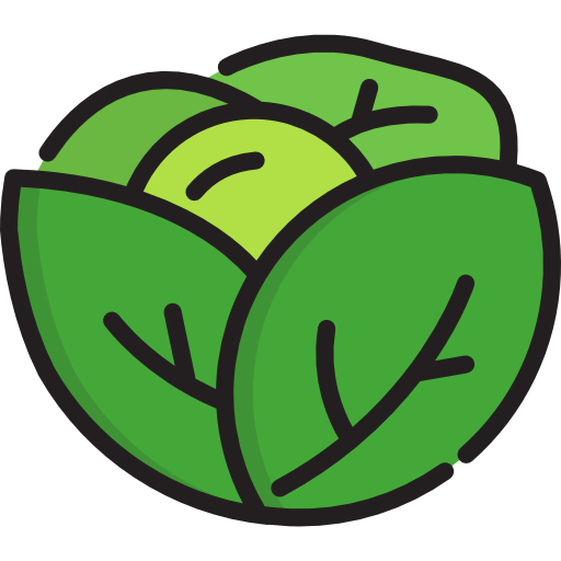 Lettuce icon