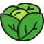 Lettuce icon 64x64